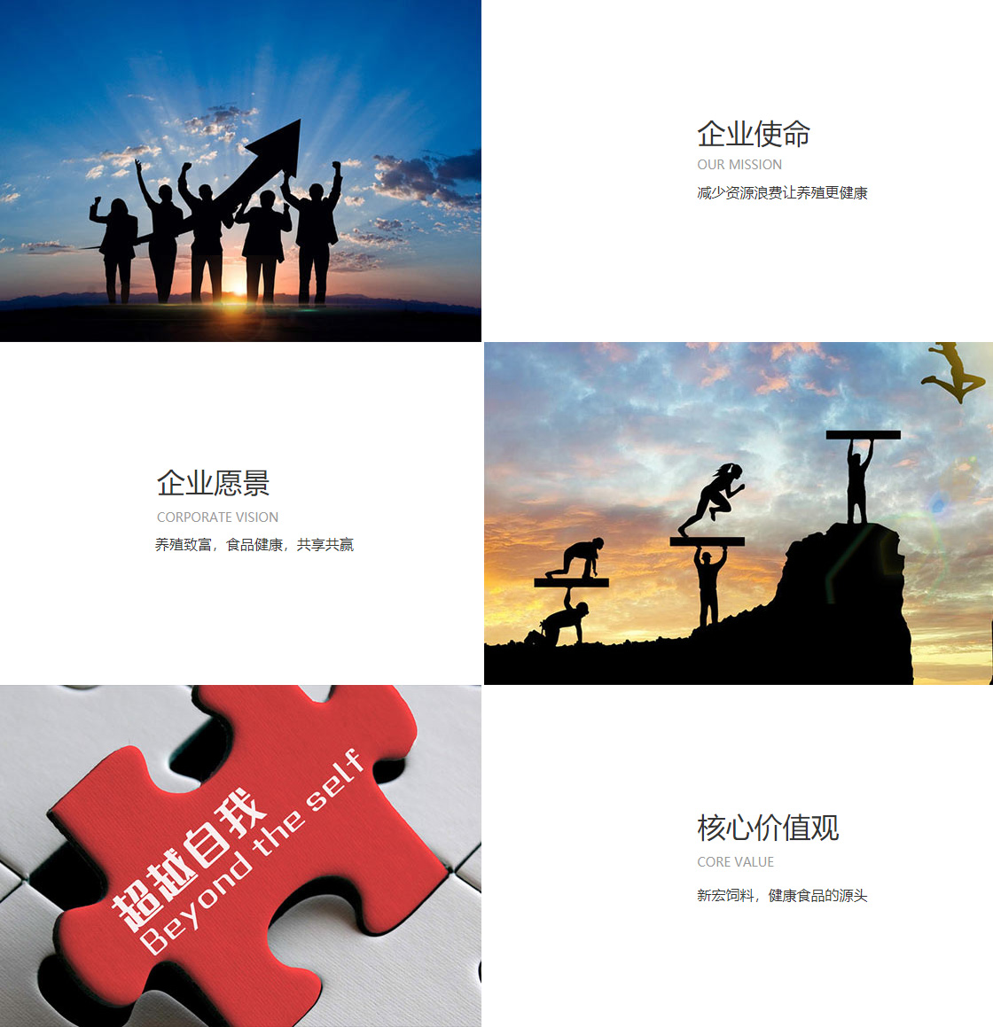 爱体育体彩(图1)